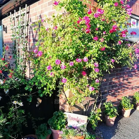 Rosehips At Kerensa, Naburn Apartamento York