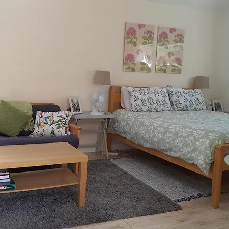 Rosehips At Kerensa, Naburn