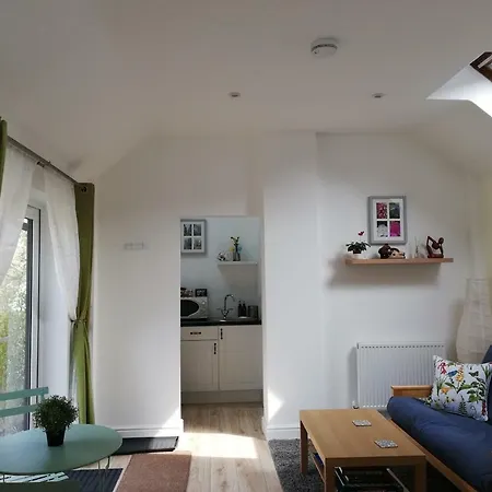 Rosehips At Kerensa, Naburn