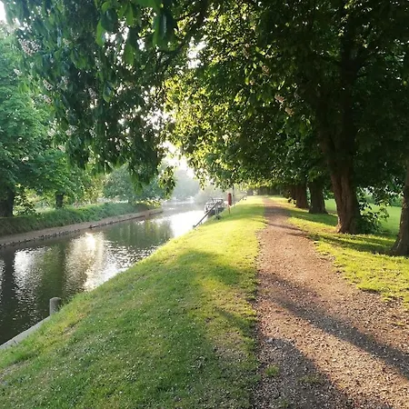 Rosehips At Kerensa, Naburn
