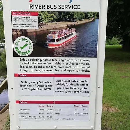 Rosehips At Kerensa, Naburn *