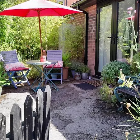 Rosehips At Kerensa, Naburn York