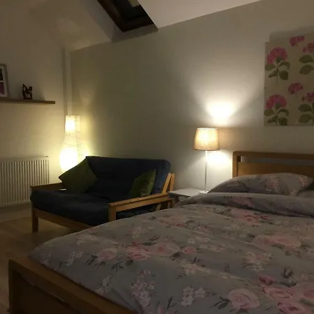 Rosehips At Kerensa, Naburn * York