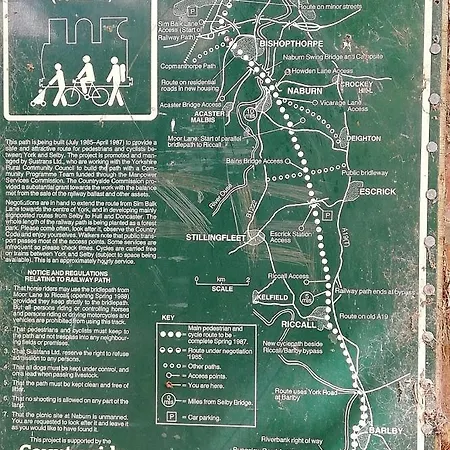 Rosehips At Kerensa, Naburn *