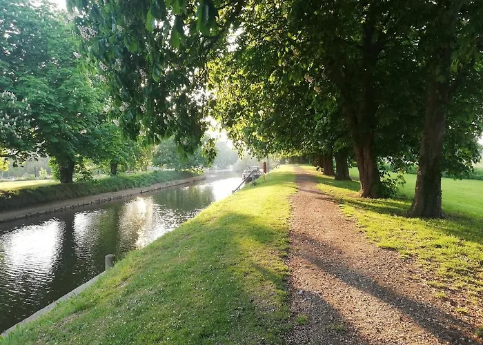Rosehips At Kerensa, Naburn