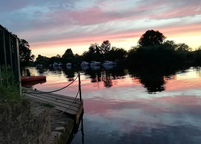 Rosehips At Kerensa, Naburn