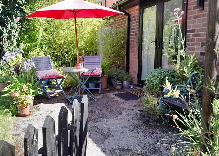 Rosehips At Kerensa, Naburn York