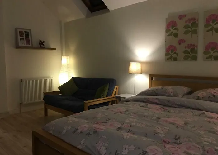 Rosehips At Kerensa, Naburn * York